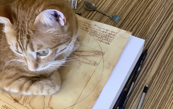 The cat on the Vitruvian Man