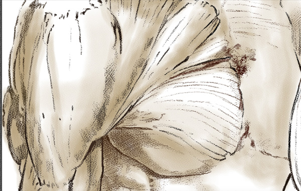 Boceto de Leonardo